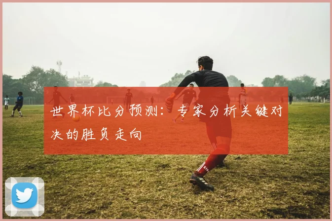 世界杯比分预测：专家分析关键对决的胜负走向
