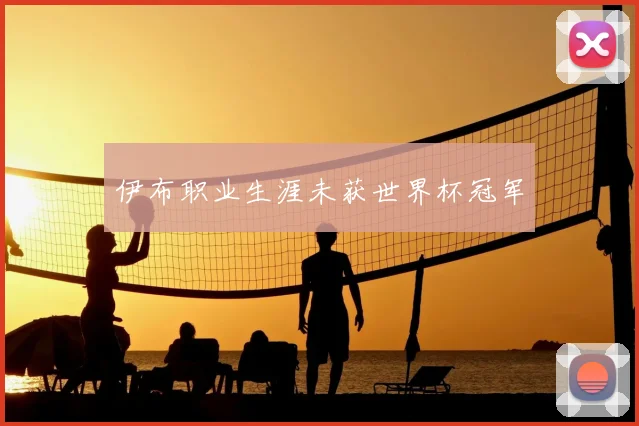 伊布职业生涯未获世界杯冠军