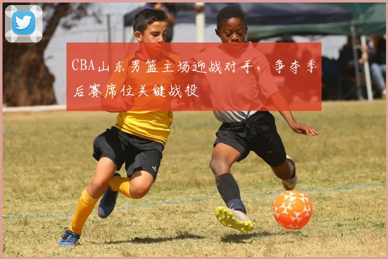 CBA山东男篮主场迎战对手，争夺季后赛席位关键战役