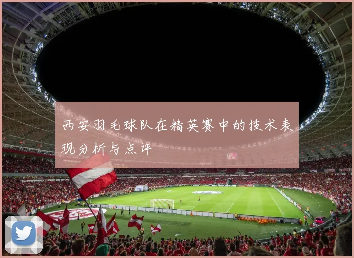 西安羽毛球队在精英赛中的技术表现分析与点评