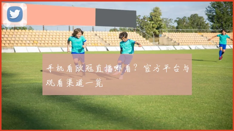 手机看欧冠直播哪看？官方平台与观看渠道一览
