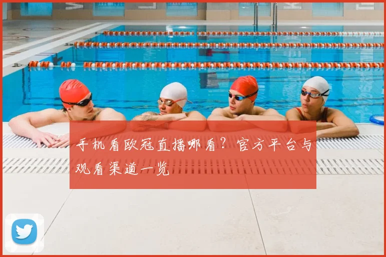 手机看欧冠直播哪看？官方平台与观看渠道一览