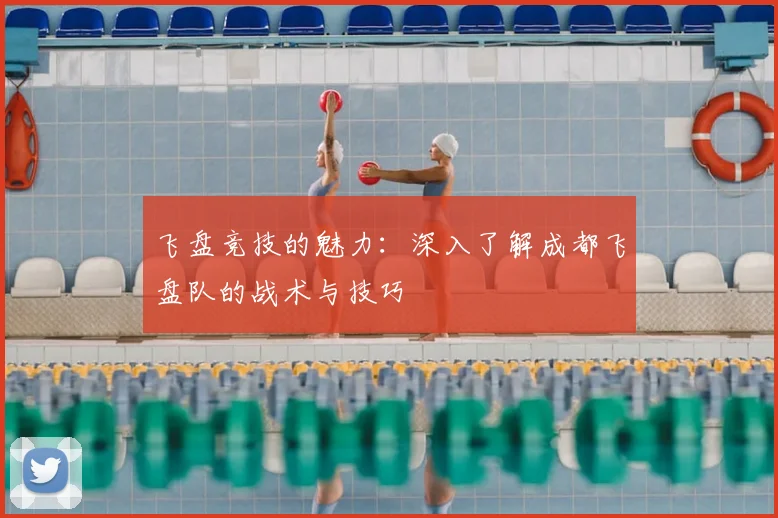 飞盘竞技的魅力：深入了解成都飞盘队的战术与技巧