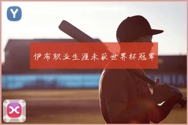 伊布职业生涯未获世界杯冠军