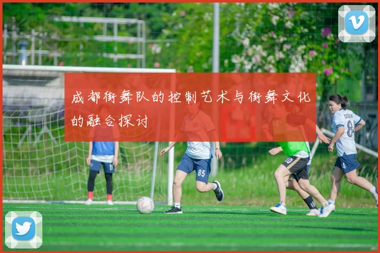 成都街舞队的控制艺术与街舞文化的融合探讨