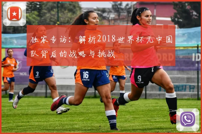 独家专访：解析2018世界杯无中国队背后的战略与挑战