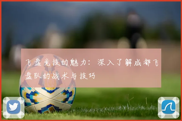 飞盘竞技的魅力：深入了解成都飞盘队的战术与技巧