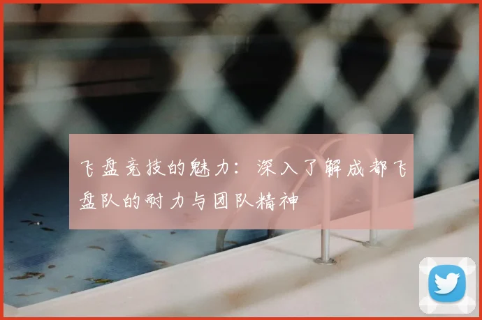 飞盘竞技的魅力：深入了解成都飞盘队的耐力与团队精神